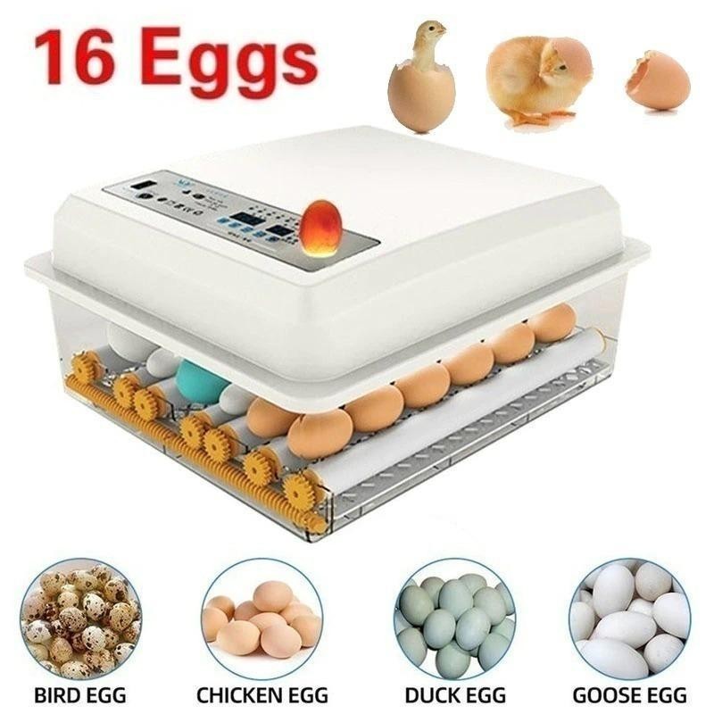 全国無料，爆買い KF071:ひよこ 鳥 自動孵卵器 インキュベーター 自由研究 鳥類専用ふ卵器 自動転卵式 孵化器 ヒヨコ生まれ 大容量 自動温度(その他)｜売買されたオークション情報、yahooの商品情報をアーカイ その他