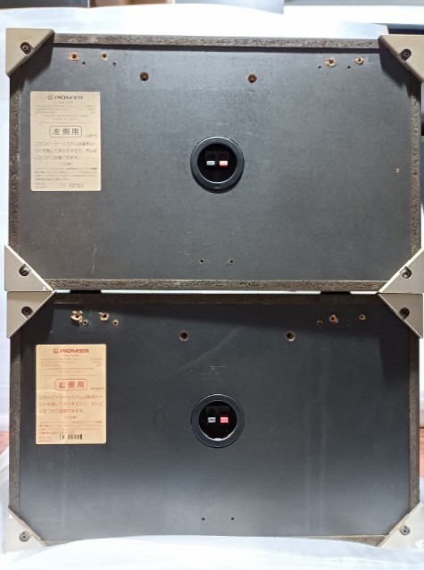 音出しOK Pioneer パイオニア カラオケ用 スピーカー 本体 ペア CS-V16