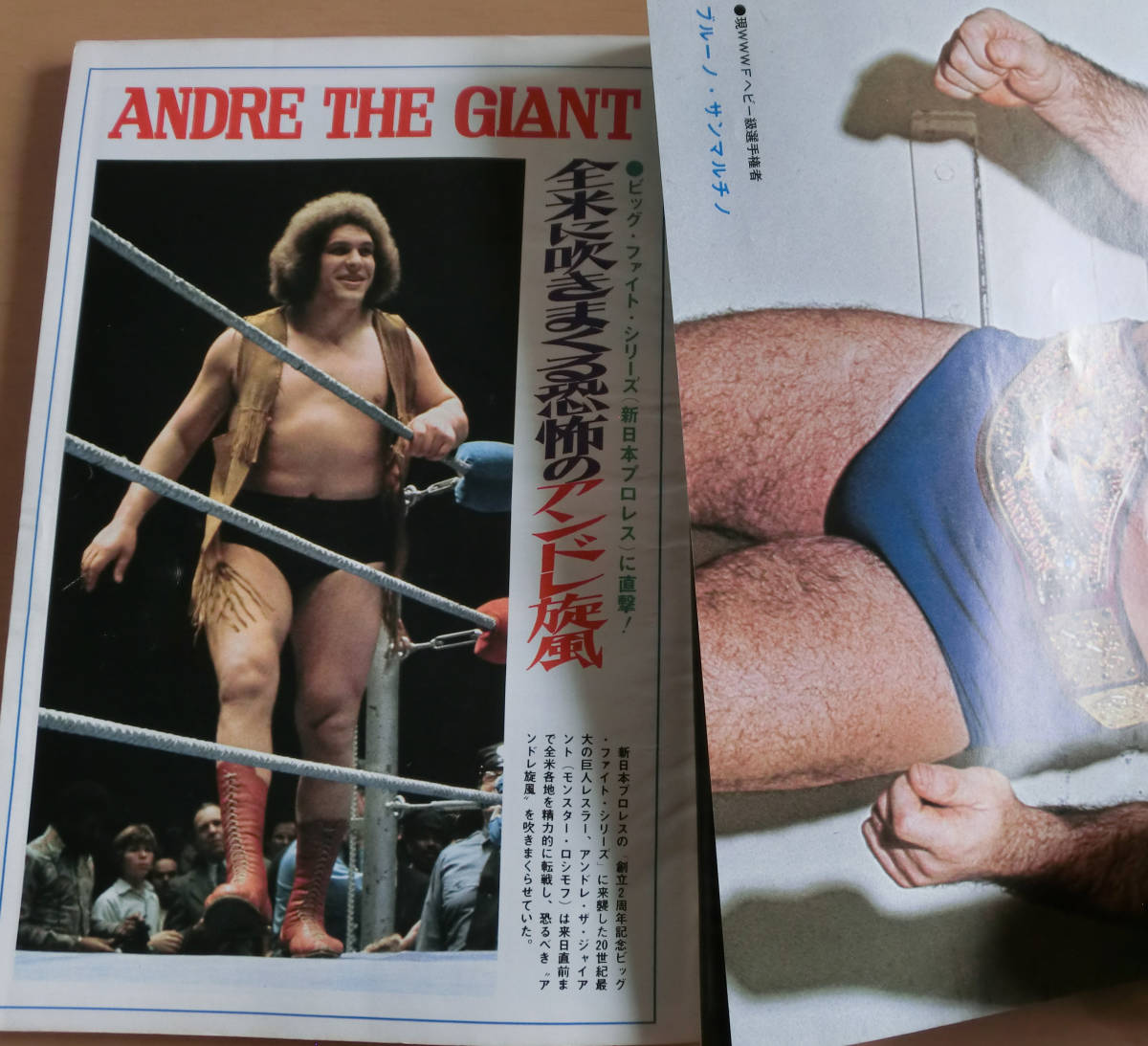 1974昭和49年4月号ゴング プロレス レスラー アンドレザジャイアント  