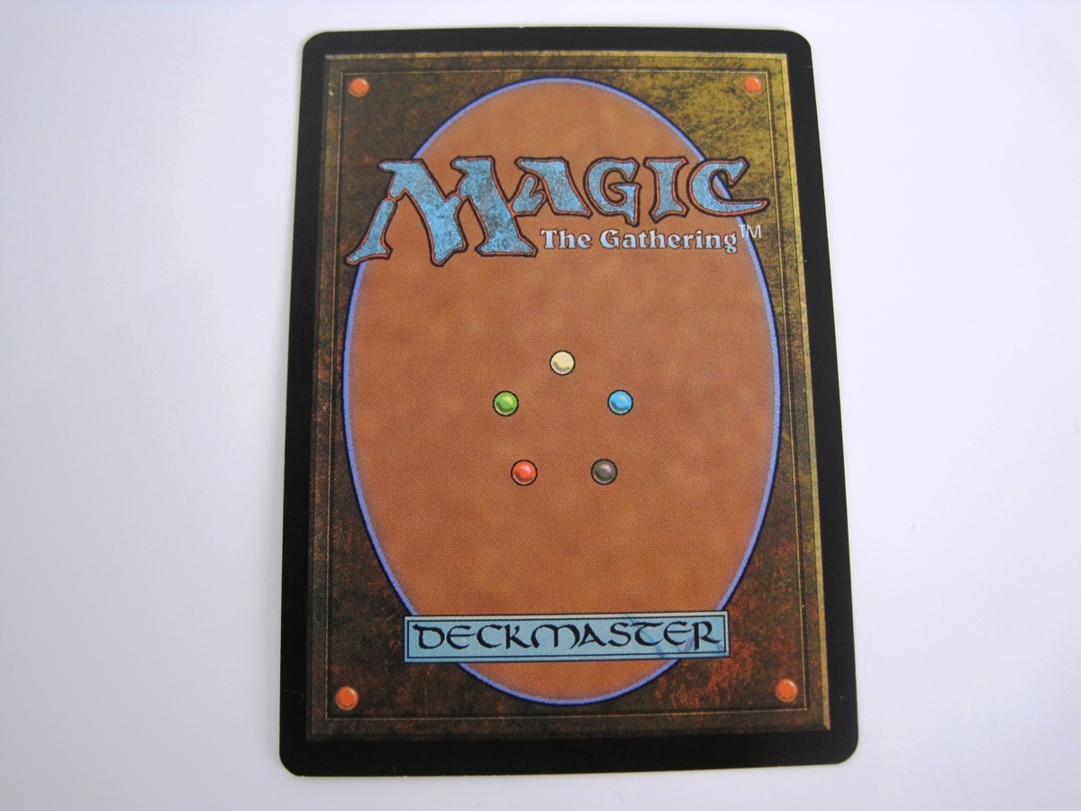 ○Magic: The Gathering マジック MTG 樹木茂る山麓 / Wooded