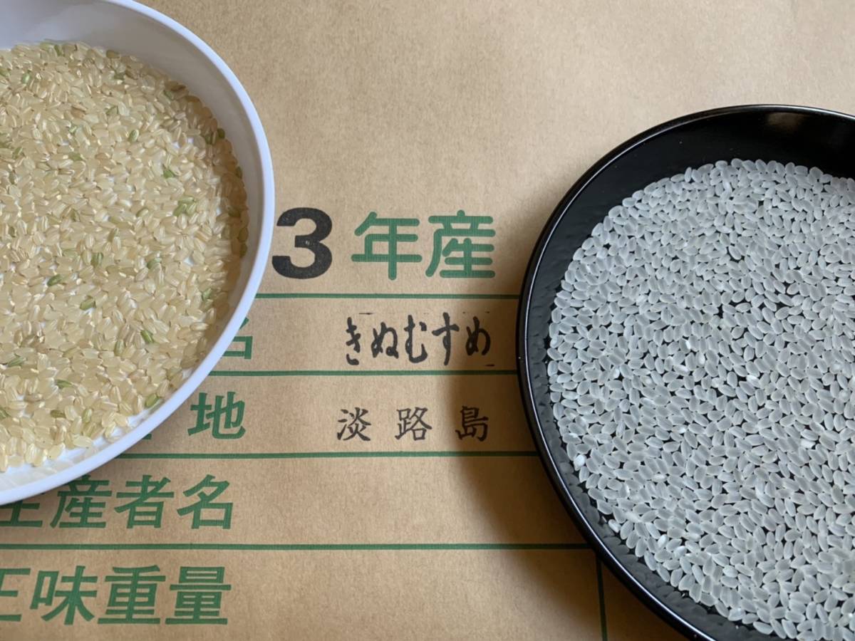 新米 令和6年産 きぬむすめ 玄米30キロ 淡路島産 精米小分け可 30kg