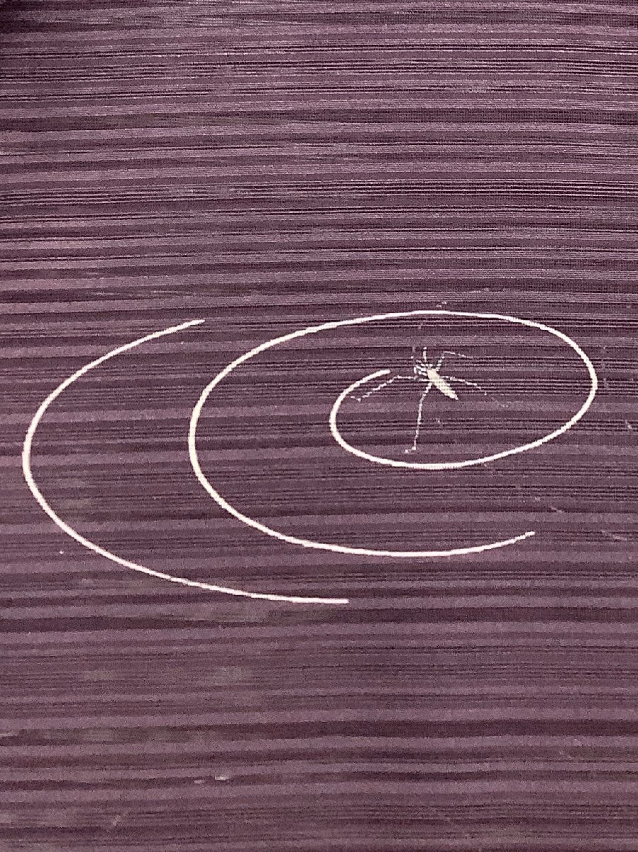 きものcocon★小紋★絽/夏着物/単衣/身丈162/裄68/正絹/紫系【4-27-3K-1262-i】 絽 小紋単衣 夏着物 [夏きもの] 小紋着物単品ダスティカラー 特選絽江戸小紋