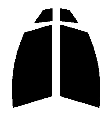 スパッタシルバー70　運転席・助手席　トヨタ　プリウス　ZVW50・ZVW51・ZVW55　カット済みカーフィルム　