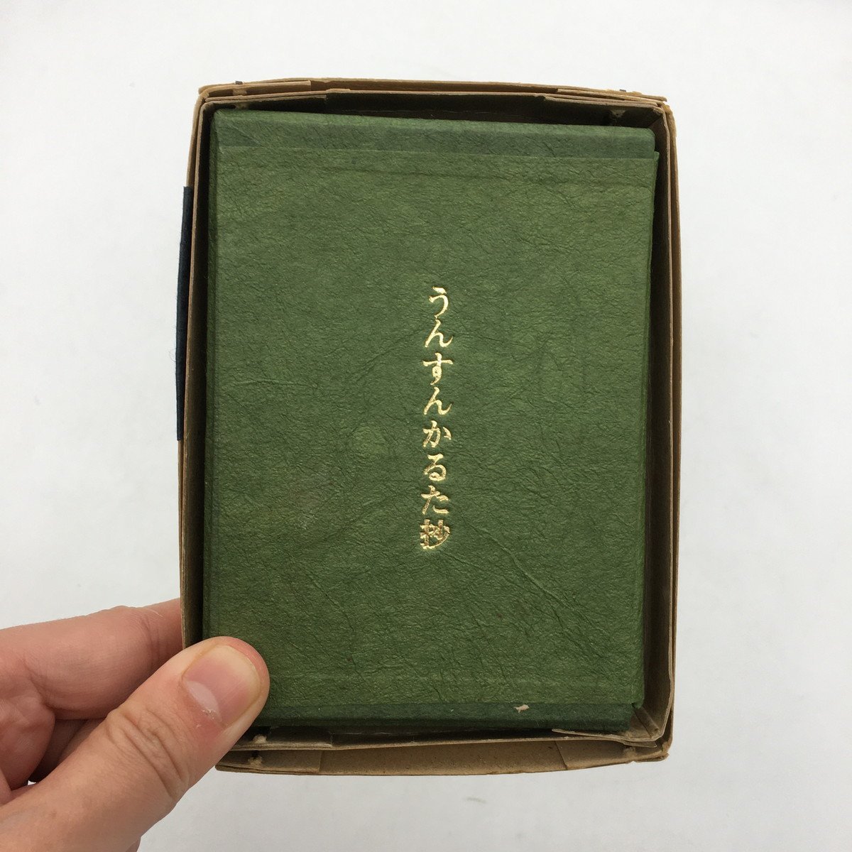 アルゴノオト あおいの日記 井亀あおい : | も 』『 『 葦書房（福岡 