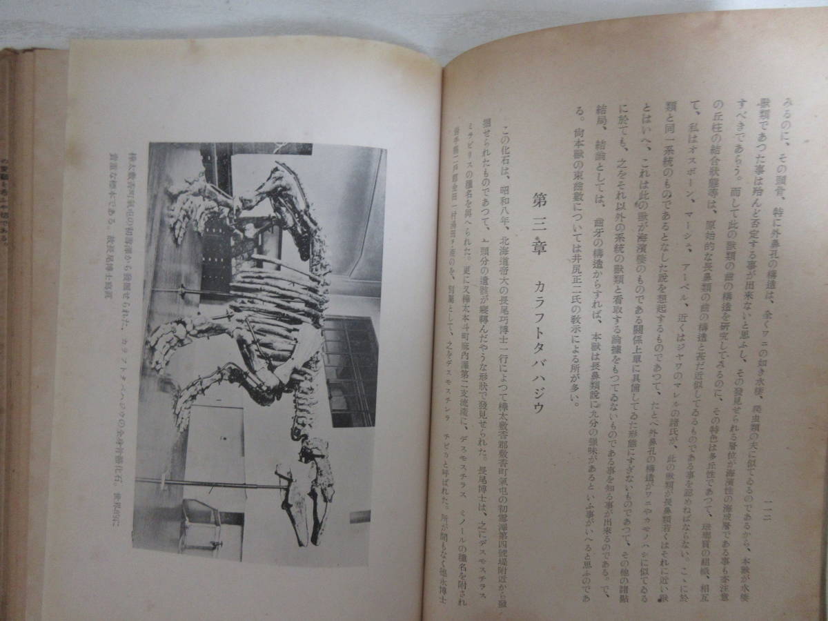 B 日本哺乳動物史 直良信夫 昭和19年 地質時代 陸棲 海棲哺乳類 南樺太 千島 北海道 朝鮮 琉球 台湾 化石 ナウマンゾウ マンモス 生物学 売買されたオークション情報 Yahooの商品情報をアーカイブ公開 オークファン Aucfan Com