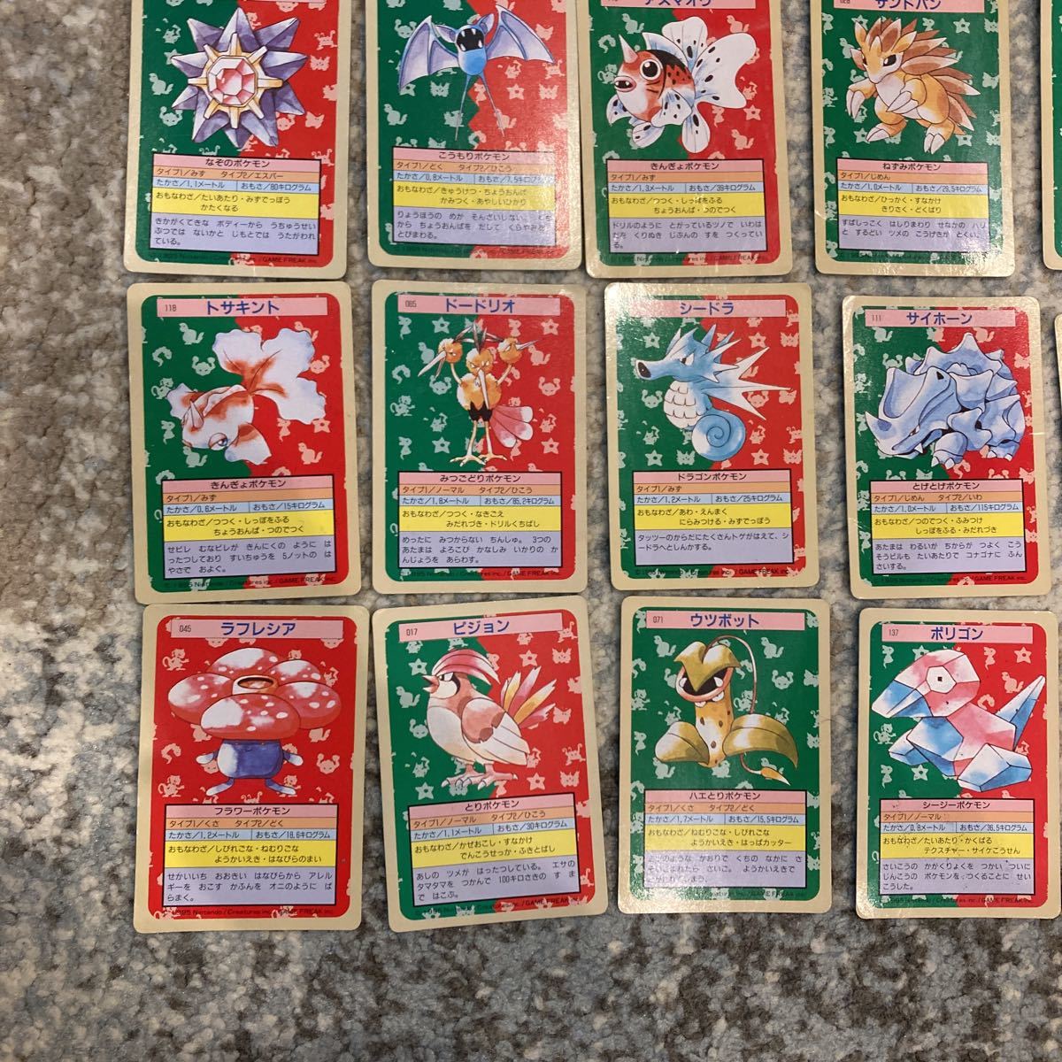 ポケモンカード トップサン 背面緑のみ Www Snails2whales Com