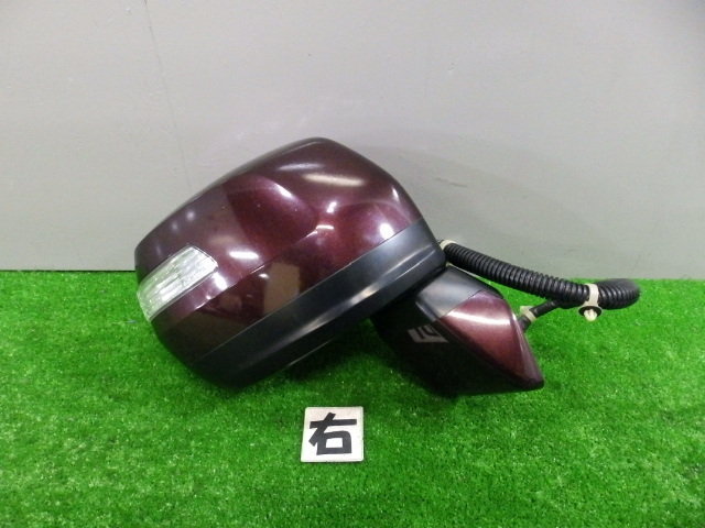 K0990 模写 国井道成「親鸞聖人 名号本尊熊皮御影」絹本 共箱 肉筆 本