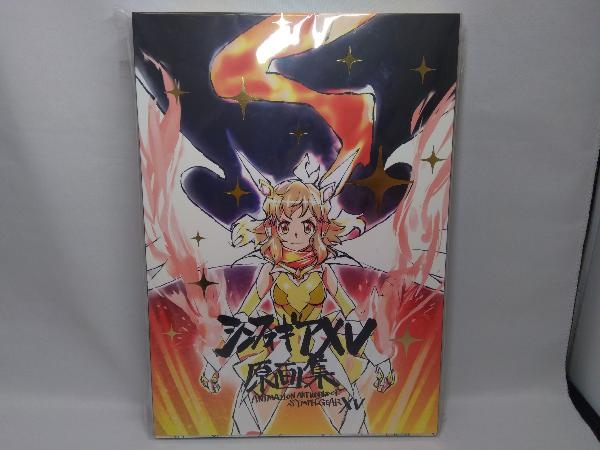 SALE，低価 戦姫絶唱シンフォギアXV 原画集 上巻 下巻(原画、設定資料集)｜売買されたオークション情報、yahooの商品情報をアーカイブ公開 - オークファン 原画、設定資料集