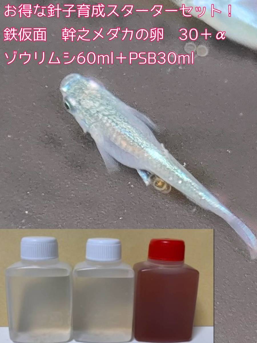 お得セット 鉄仮面 幹之メダカ 卵30個 A ゾウリムシ60ml Psb30ml エビオス錠6粒 フルボディ めだか みゆき 変わり 初心者 4 めだか 売買されたオークション情報 Yahooの商品情報をアーカイブ公開 オークファン Aucfan Com お得セット 鉄仮面 幹之メダカ 卵30個 A ゾウリムシ60ml Psb30ml エビオス錠6粒 フルボディ めだか みゆき 変わり 初心者 4 めだか 売買されたオークション情報 Yahooの商品情報をアーカイブ公開 オークファン Aucfan Com