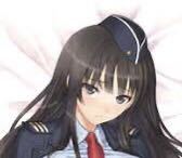 婦警さん 金髪さん 両面抱き枕カバー Tony T2 ART WORKSデザイン 2way 