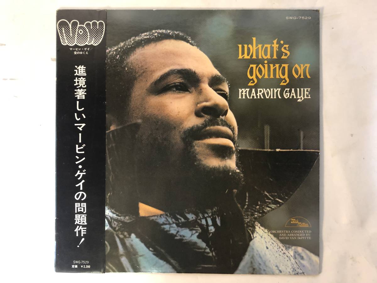 洋楽 レアThe Rebirth - Evil Vibrations 7 inch