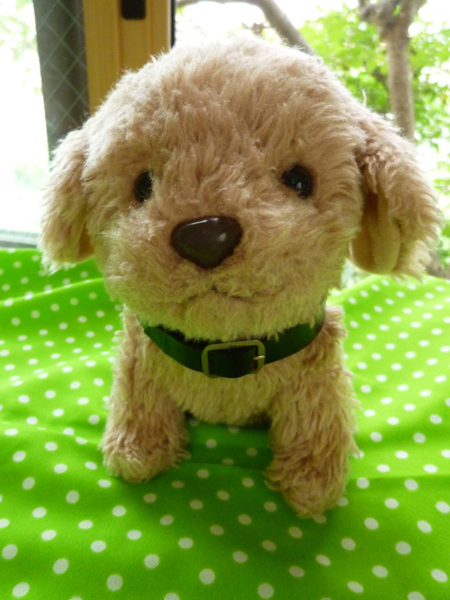 トイプードル いぬ イヌ ぬいぐるみ 子犬 小犬 こいぬ かわいい顔 イヌ一般 売買されたオークション情報 Yahooの商品情報をアーカイブ公開 オークファン Aucfan Com トイプードル いぬ イヌ ぬいぐるみ 子犬 小犬 こいぬ かわいい顔 イヌ一般 売買されたオークション情報 Yahooの商品情報をアーカイブ公開 オークファン Aucfan Com