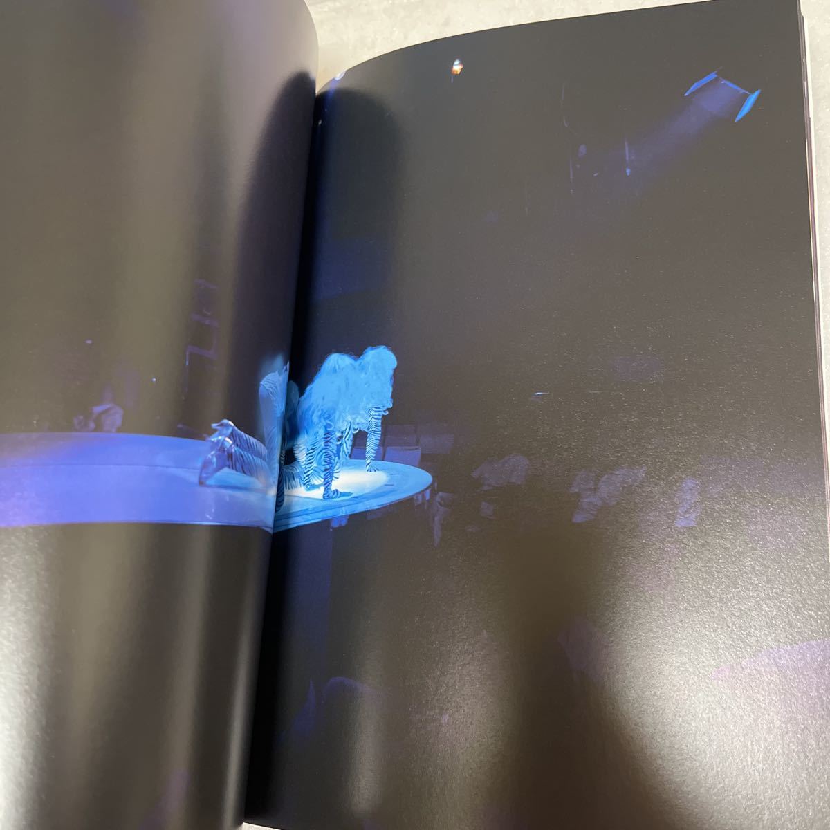 ROCKZA LIVE BOOK 5 &frasl; 浅草ロック座 写真集 公式通販