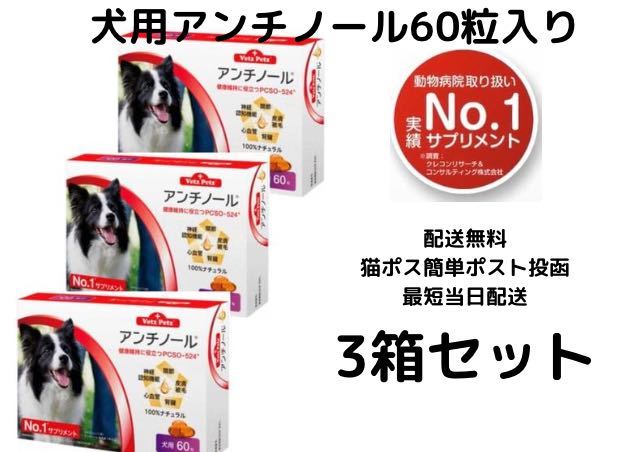 ペット用品 犬用アンチノール 60粒 3箱