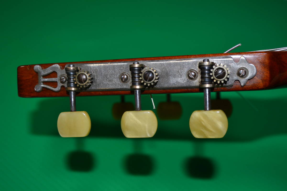 ◇ 1950年代 KARL HOFNER ビンテージギター Rosales 高級ハードケース 