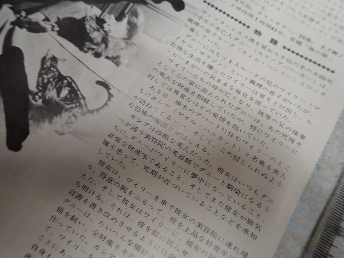 映画チラシ 猫 松竹会館松竹セントラル 監 デイヴィッド ロウェル リッチ 出 ゲイル ハニカット その他 売買されたオークション情報 Yahooの商品情報をアーカイブ公開 オークファン Aucfan Com