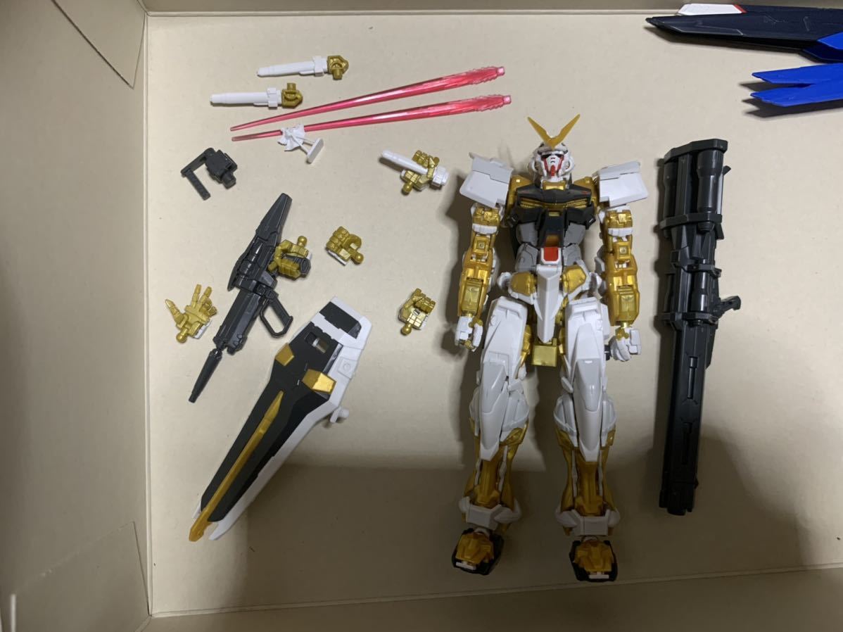 gnpr 4233 送料無料有　RG アストレイゴールドフレーム　限定