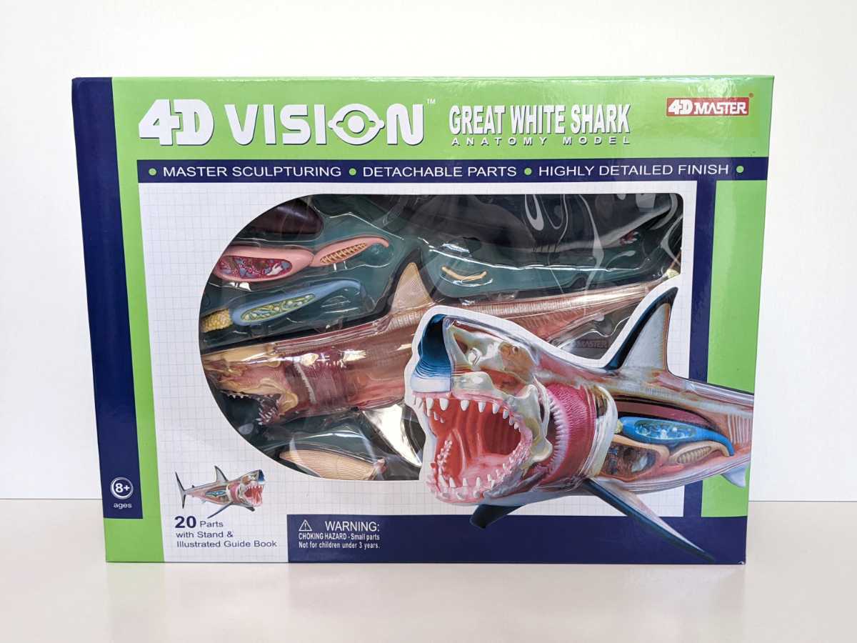 青島文化教材社 スカイネット 4D VISION NO.2 動物解剖モデル