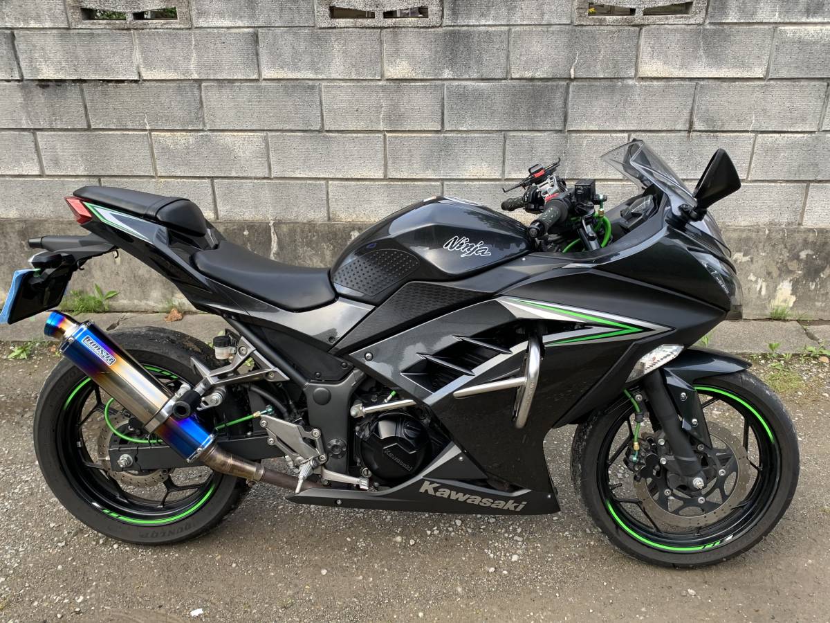 カワサキ KAWASAKI Ninja250 ニンジャ250 EX250L 2016年式 ETC付き カワサキ KAWASAKI Ninja250 ニンジャ250 EX250L 2016年式 ETC付き