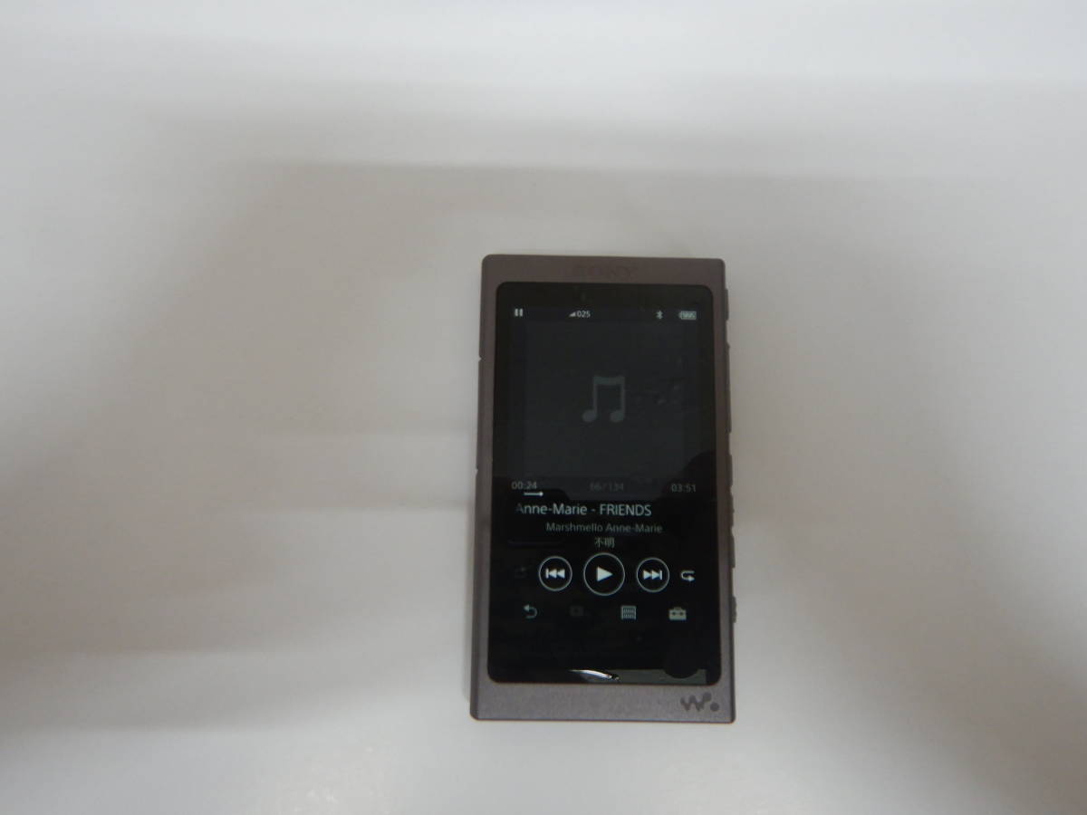 ウォークマン 32GB ソニー SONY NW-A46 NW-A46HN Aシリーズ WALKMAN