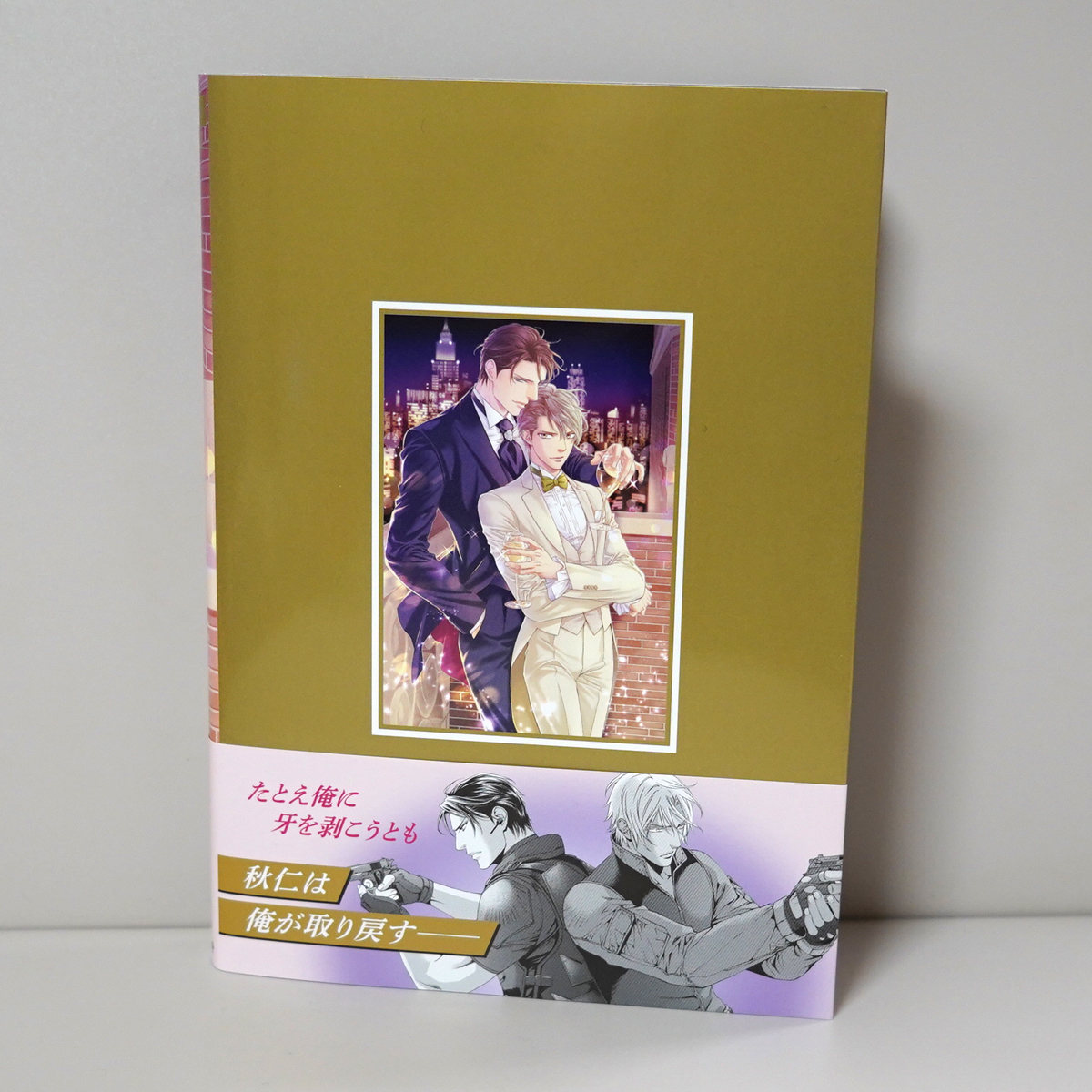 ファインダーの抱擁 アニメイト限定版 やまねあやの 描き下ろし12p小冊子 ペーパー リブレ Bl ファインダーシリーズ ボーイズラブ 売買されたオークション情報 Yahooの商品情報をアーカイブ公開 オークファン Aucfan Com