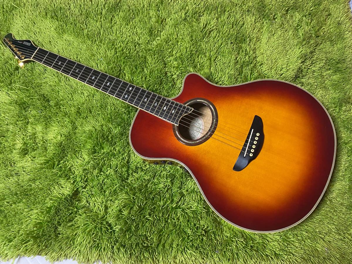 YAMAHA APX10S / 白濁極少の超美品 / エボニー指板 / 片側6連ペグ 