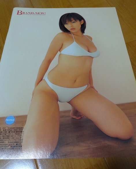 週間 ヤングサンデー　井上和香　他ピンナップ、切り抜きなど　おまけ　【中古】 ◇激レア!!アイドル当時物◇井上和香◇切り抜きA4x12P＋両面