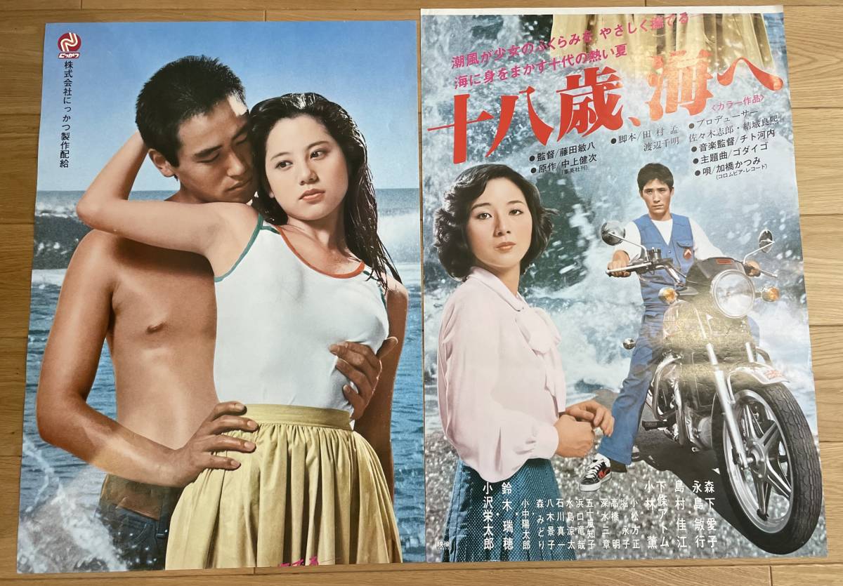 映画ポスター 十八歳 海へ 立看 森下愛子 永島敏行(映画)｜売買されたオークション情報、yahooの商品情報をアーカイブ公開