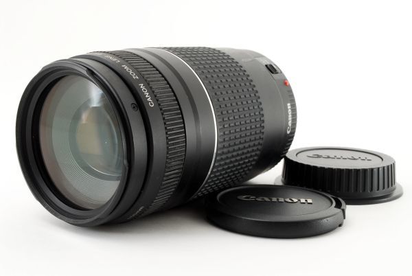 ☆大人気☆ CANON キヤノン ZOOM LENS EF 75-300mm F4-5.6 III 望遠
