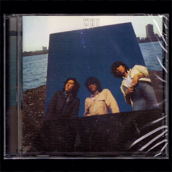 紙ジャケ）楠木恭介／JUST TONIGHT | VINEYARDHOMESLIMITED.CO.UK