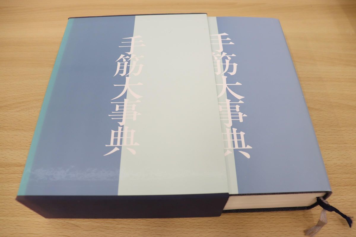 △01)手筋大事典/日本棋院/平成4年発行/囲碁 手筋大事典 日本