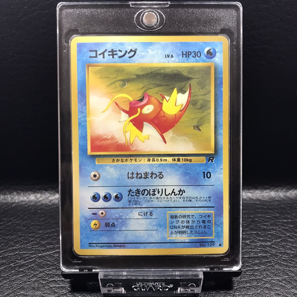 C-346 未使用 永久保存版 極上個体 希少 旧裏面 ポケモンカード
