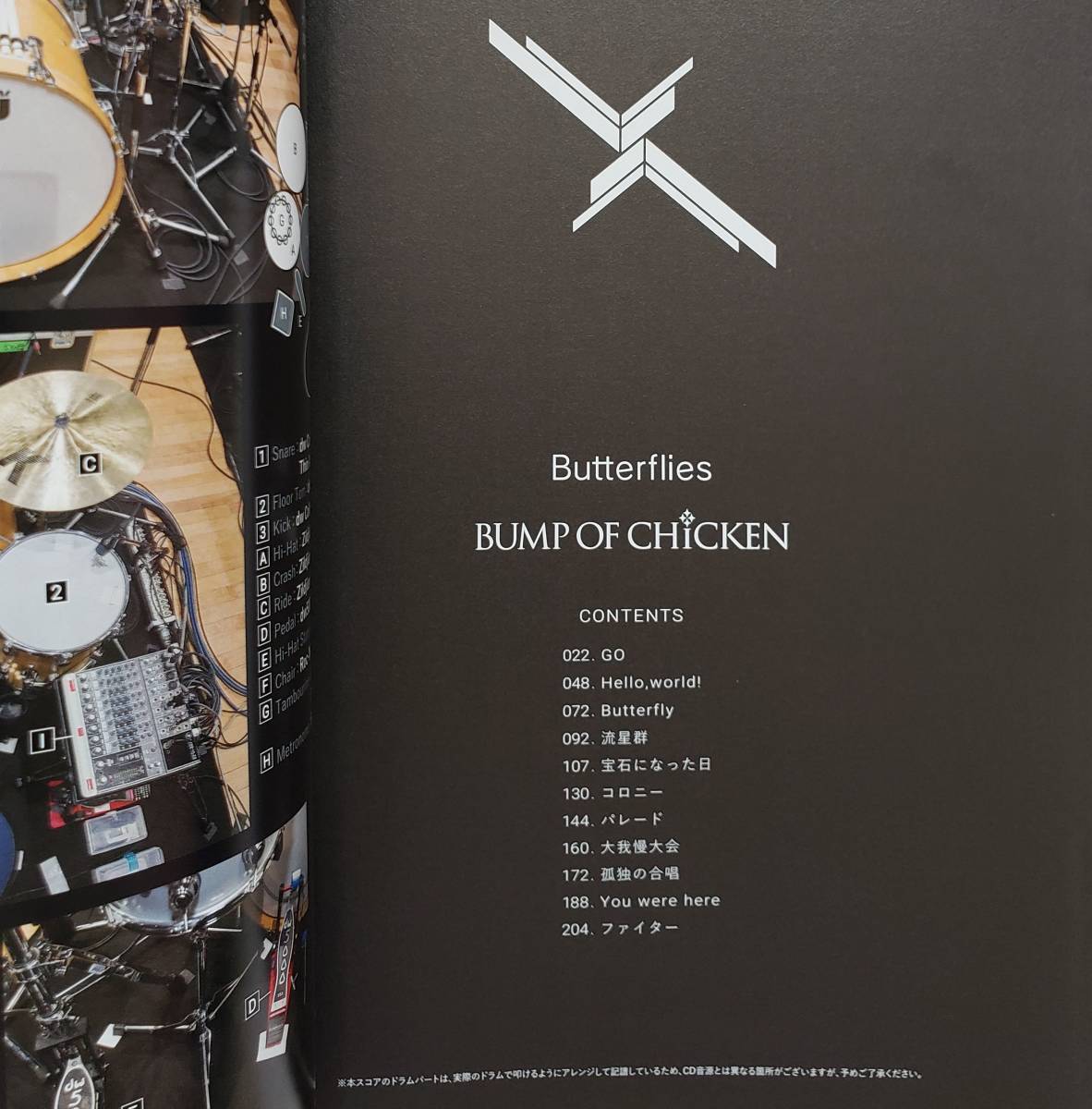 BUMP OF CHICKEN Butterflies バンプ・オブ・チキン バタフライズ 藤原 