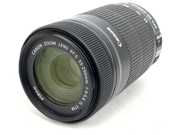 Canon 55-250mm EF-S IS Lens f⁄4-5.6 STM Telephoto Zoom : Review com