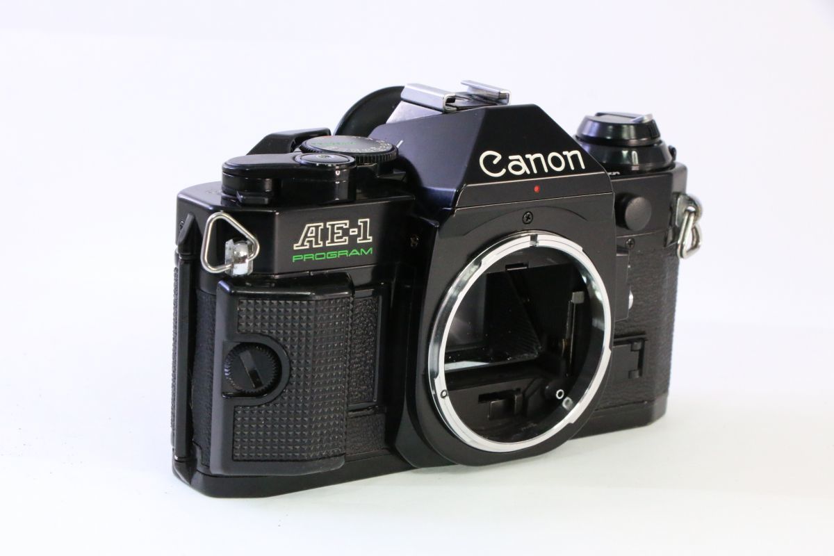 Nikon F100 一眼レフフィルムカメラ ボディ 動作確認済 ニコン 【公式