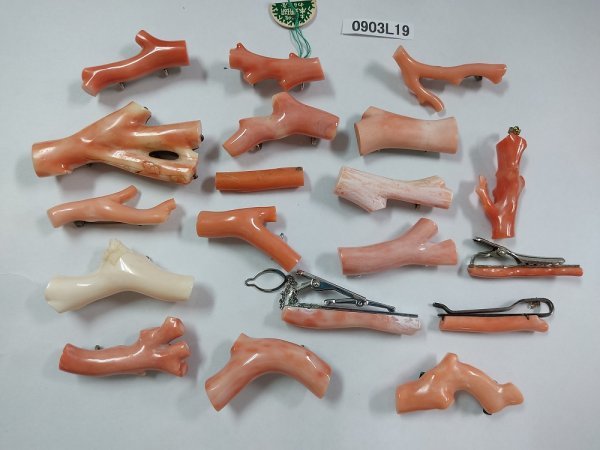 【さんごページ】 0903L19 本珊瑚 サンゴ 各種まとめ 約186.2g お世話になっております