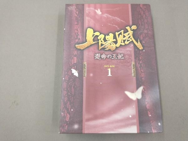 新品，品質保証 DVD 上陽賦~運命の王妃~ DVD-BOX1/チャン ツィイー(海外)｜売買されたオークション情報、yahooの商品情報をアーカイブ公開 - オークファン 海外
