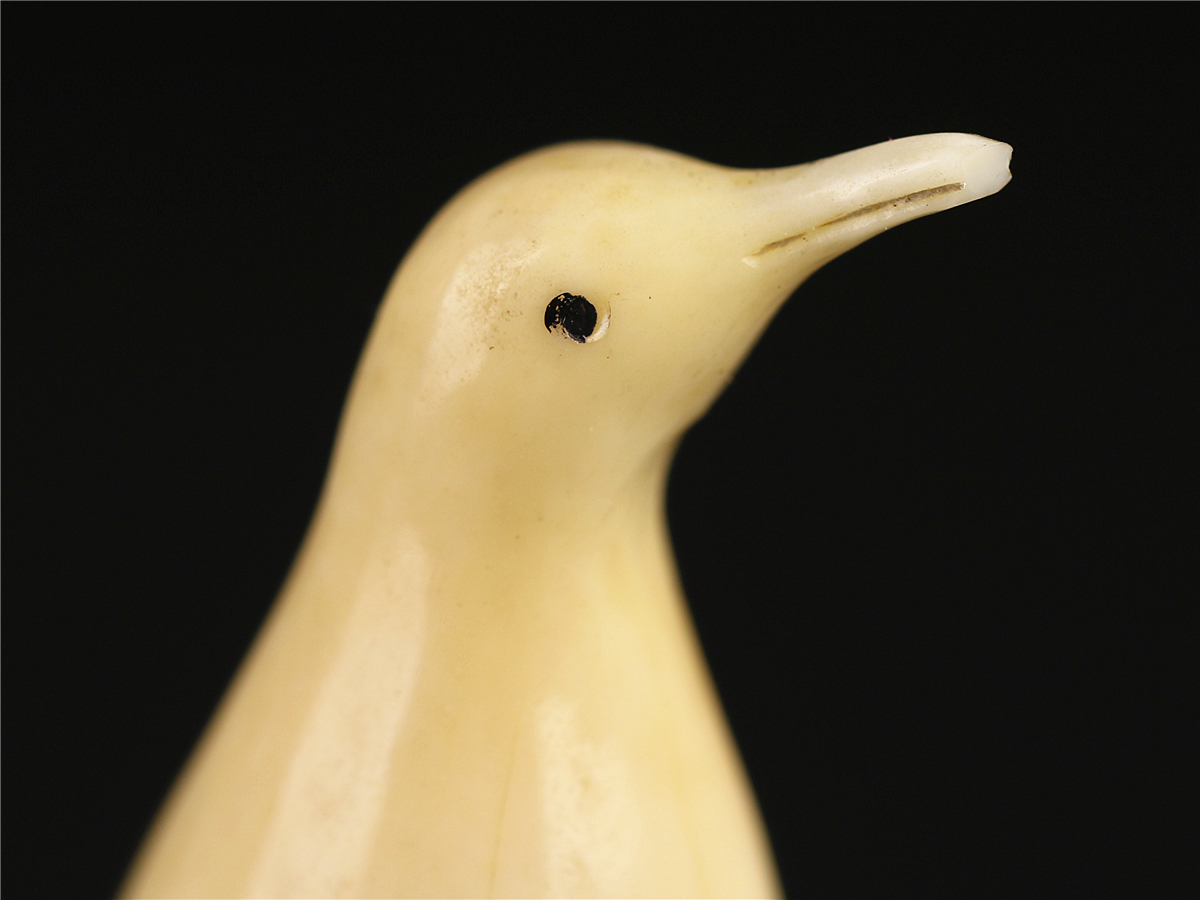 Yahoo!オークション -「鯨歯ペンギン」の落札相場・落札価格