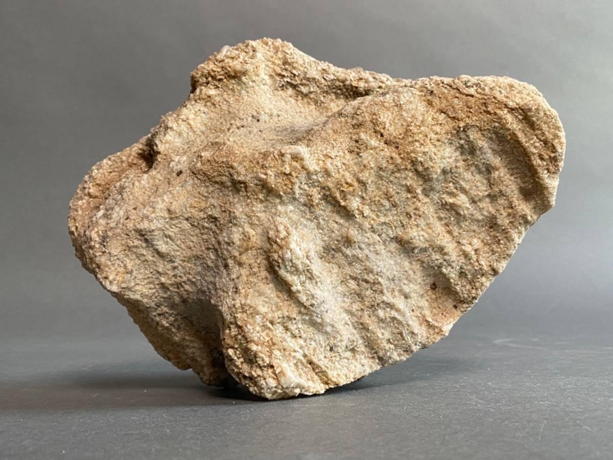 南極の石 観賞石