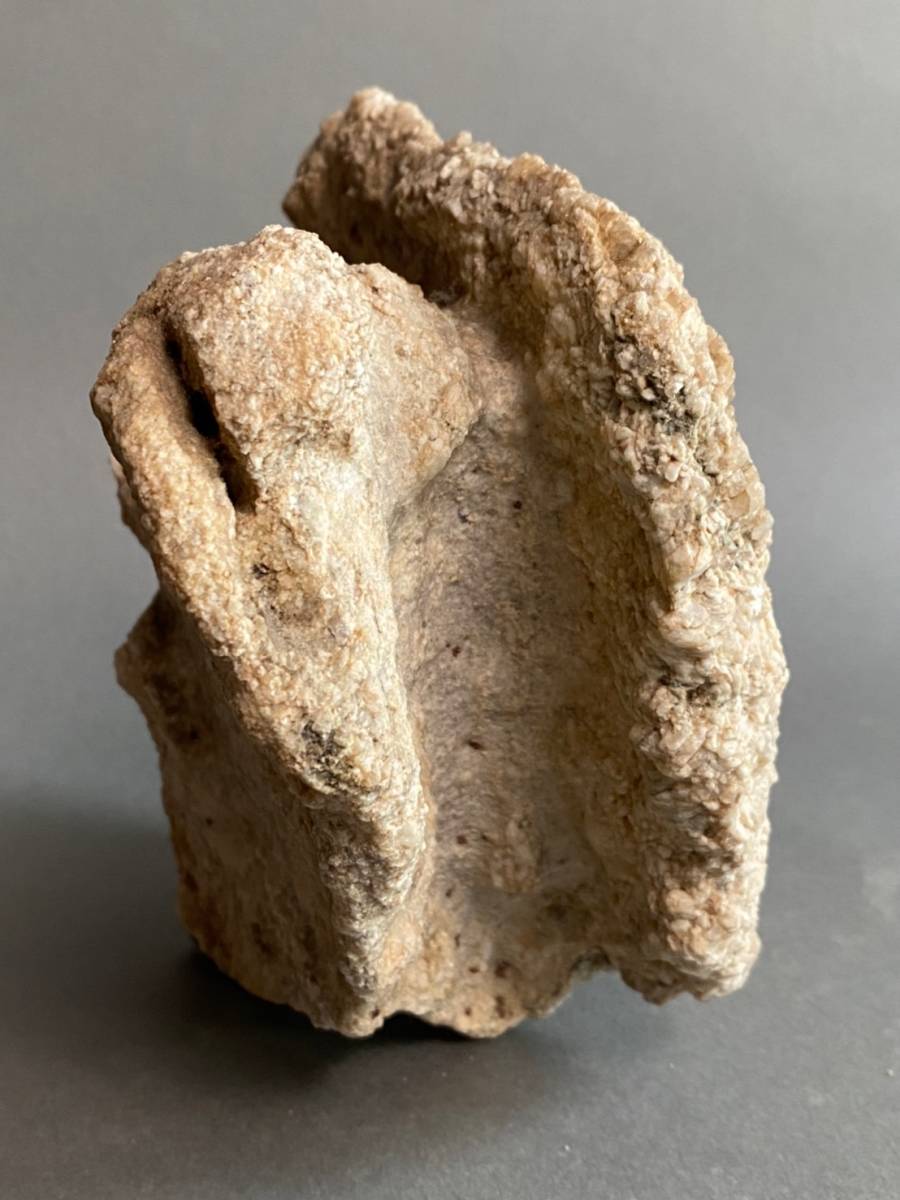 南極の石 観賞石