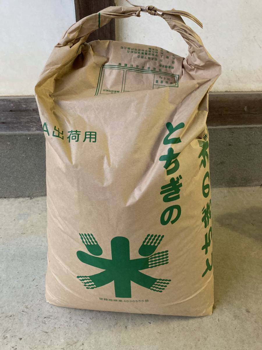 玄米 栃木県産コシヒカリ 令和7年度 栃木県産の通販 米30kg 栃木県産 