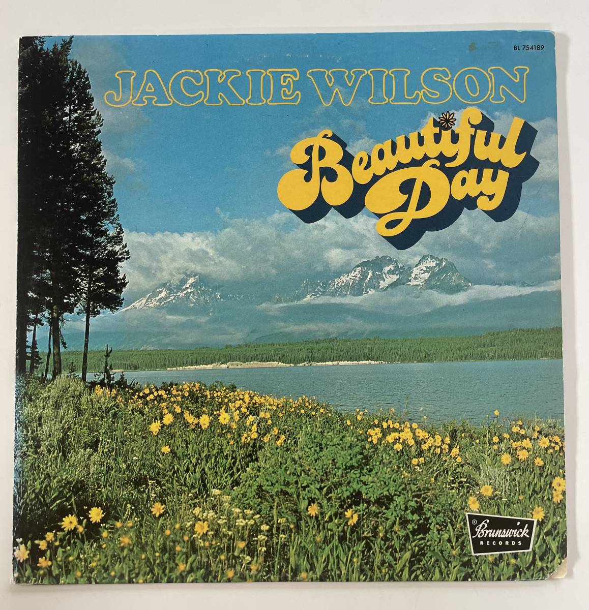 大人気，お買い得 JACKIE WILSON / BEAUTIFUL DAY オリジナル US盤 RARE GROOVE FUNK名盤 FREE SOUL(R&B、ソウル)｜売買されたオークション情報、yahooの商品情報をアーカイブ公開 - オークファン Ru0026B、ソウル