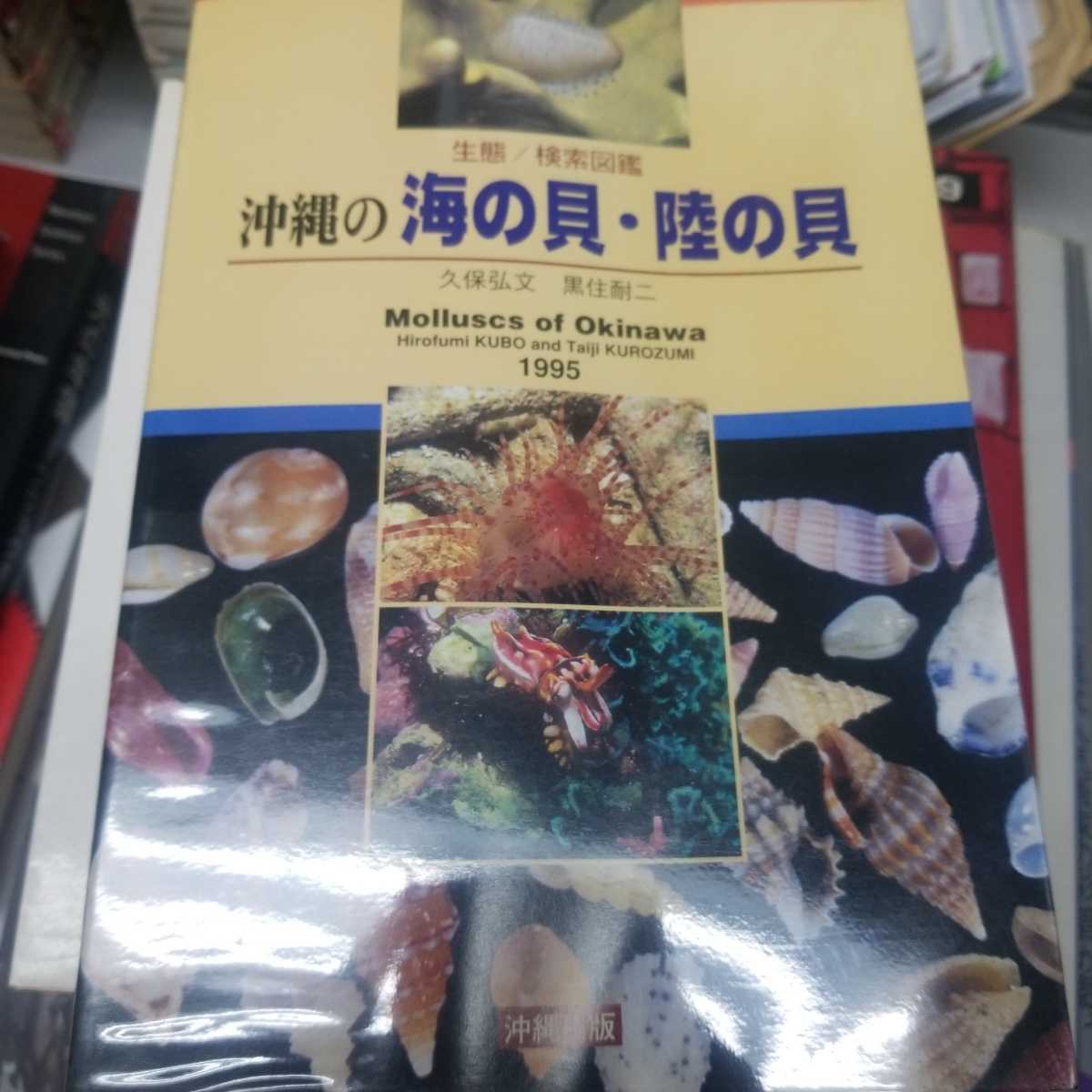  沖縄の海の貝 陸の貝/生態/検索図鑑/久保弘文/黒住耐二/沖縄出版/1995年発行(図鑑)｜売買されたオークション情報、yahooの商品情報をアーカイブ公開 - オークファン 図鑑