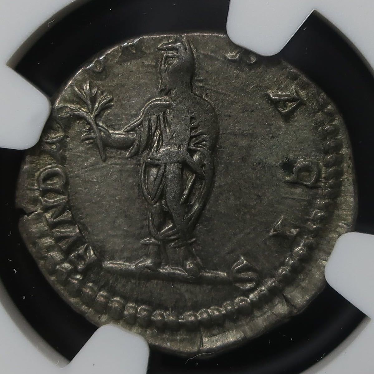 ローマ帝国 セプティミウス・セウェルス帝 セプティミウス Denarius 