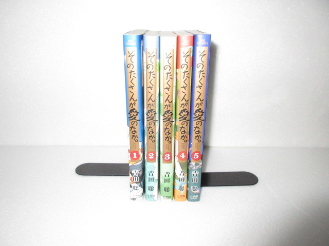 全巻 初版 ビッグコミックス ◇ そのたくさんが愛のなか。全5巻 その