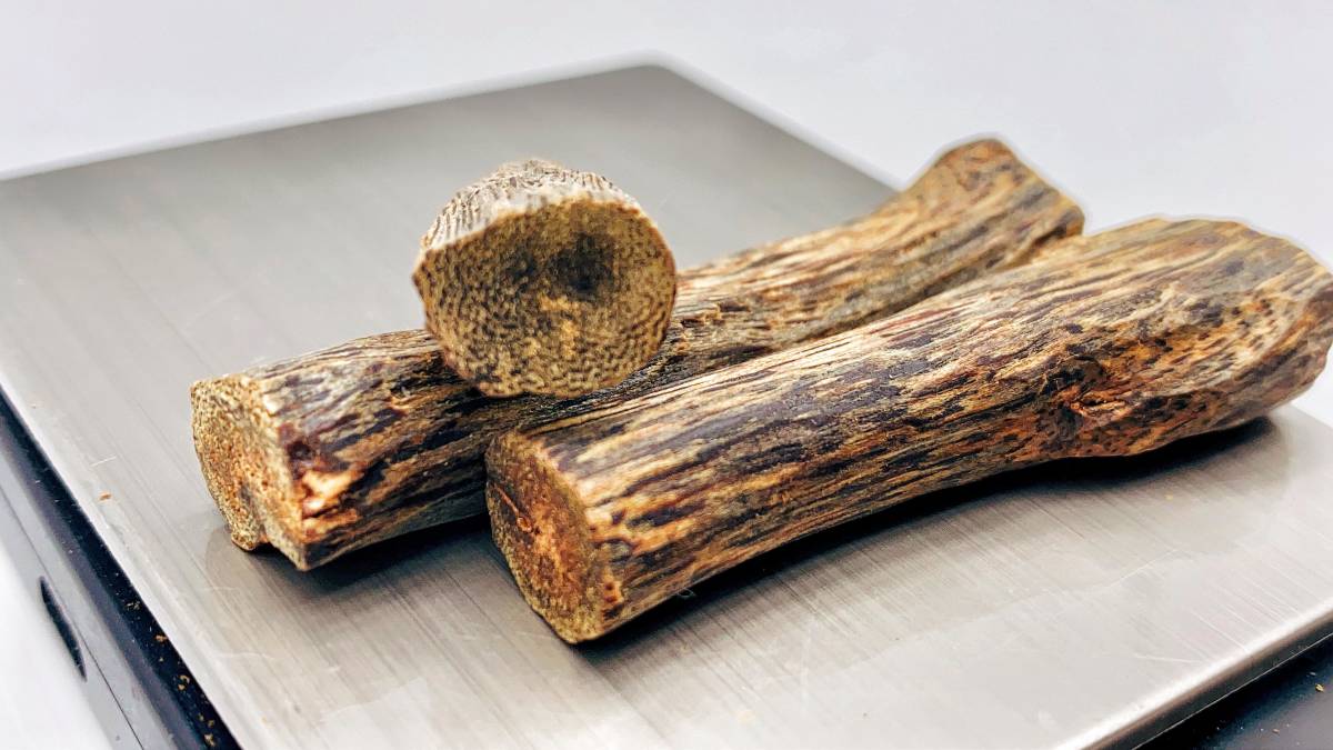 ★緑油 極上伽羅 小木 3点 約8.79g　 奇南 奇楠 お香 香道 アロマ 聞香用 香道具 茶道具 煎茶道具 沈香香木 志野流 御家流 寺院御用達 