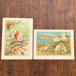 動物のイラストの値段と価格推移は 145件の売買情報を集計した動物のイラストの価格や価値の推移データを公開