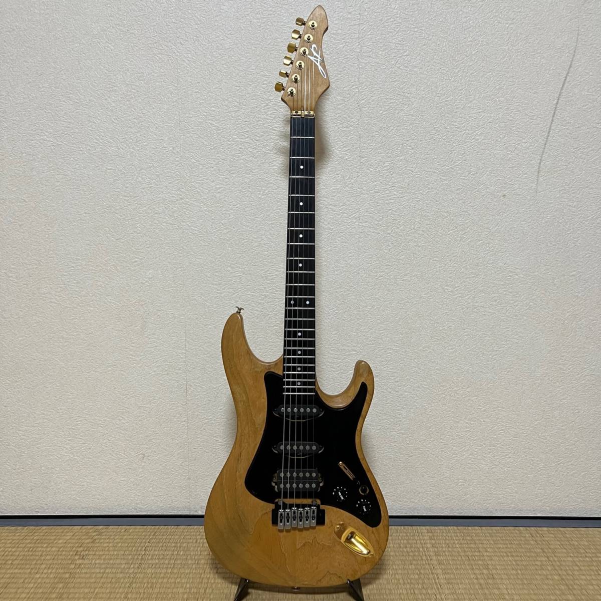 Aria Custom Pro - 希少 AP Shop SHOP II pro エレアコ AET-70 ケース