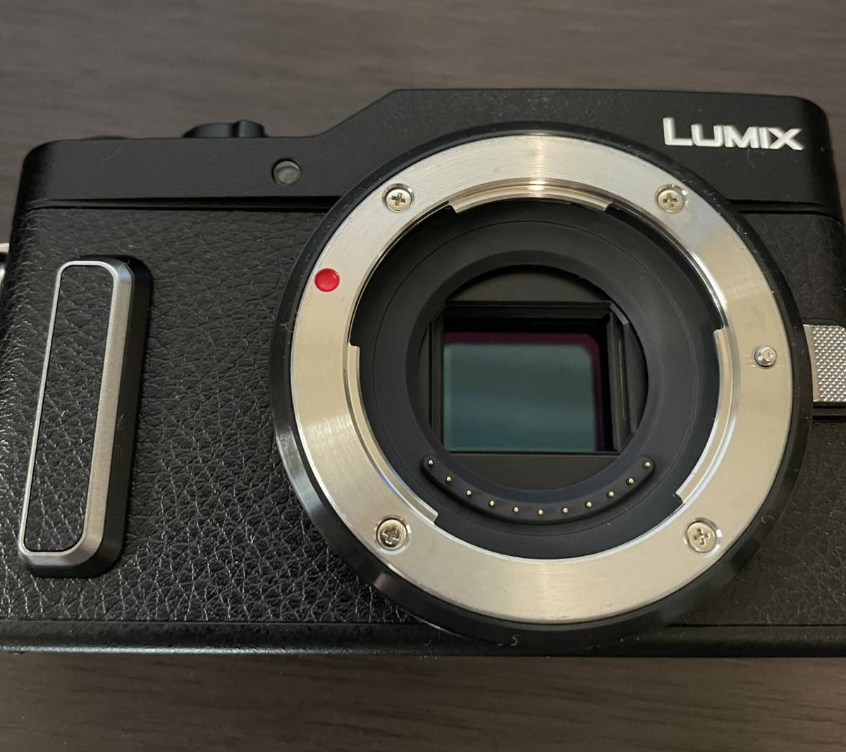 Panasonic LUMIX（ルミックス） DC-GF10