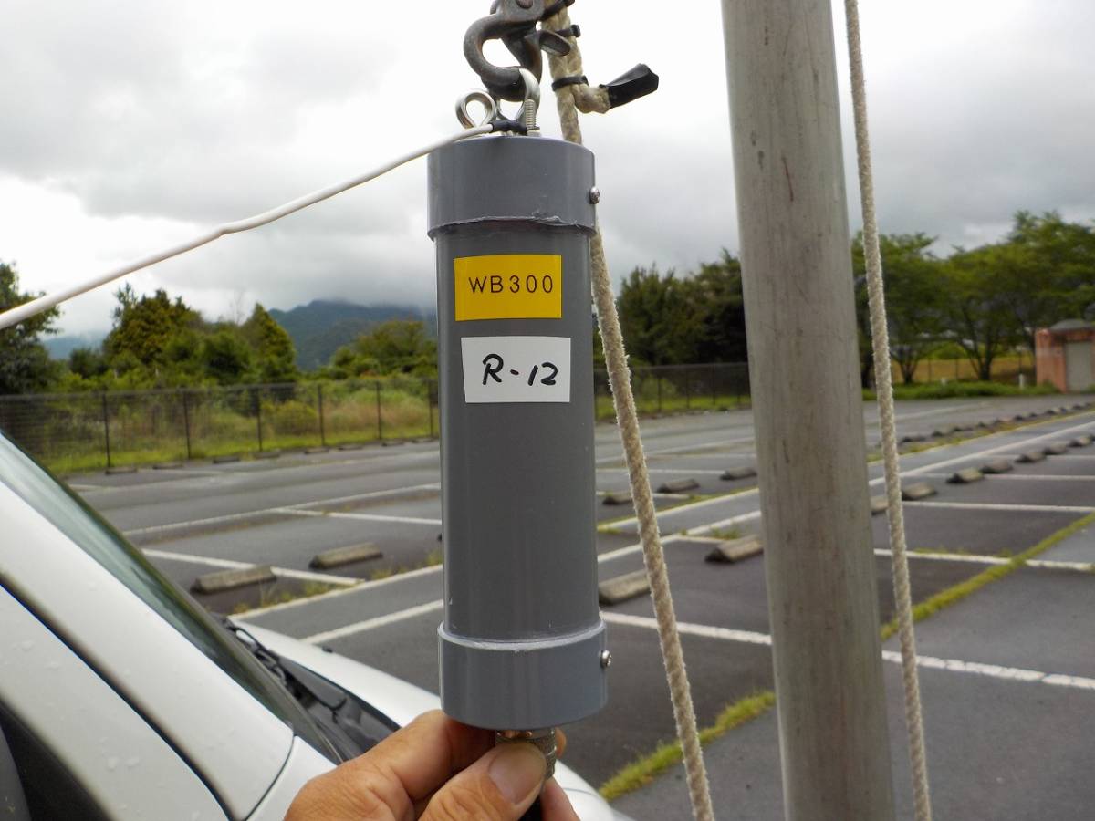 ワイドバンド アンテナ 1.8～50MHz PEP300W (ブロードバンド アンテナ